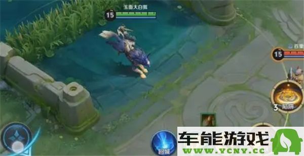 王者荣耀苍的技能详细解析与使用技巧介绍