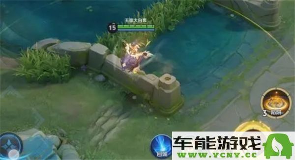 王者荣耀苍的技能详细解析与使用技巧介绍