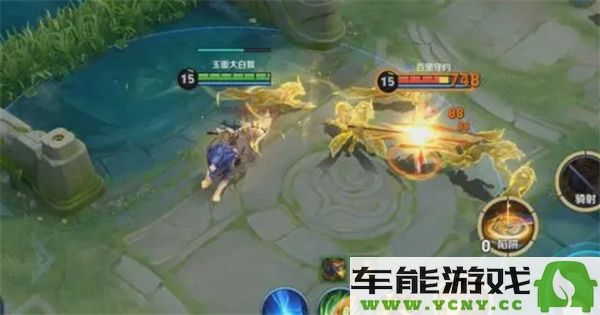王者荣耀苍的技能详细解析与使用技巧介绍