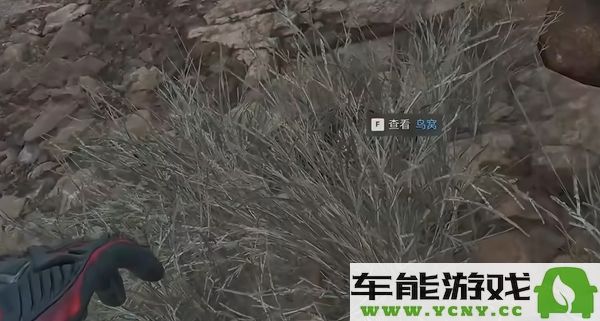 三角洲任务零号大坝附近鸟类栖息地调查与保护分析