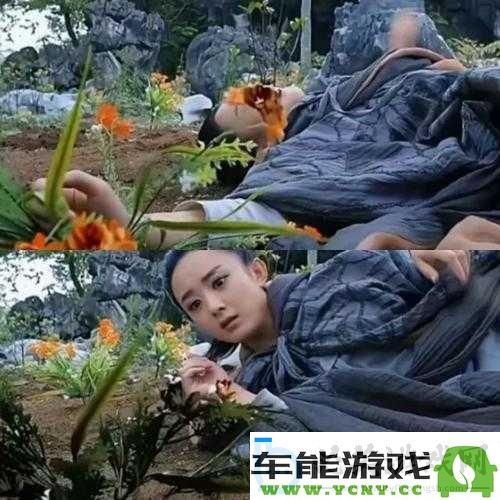 花千骨蜀山崖顶副本攻略大全-助你轻松无压通关挑战