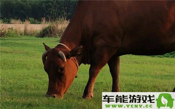 2024年海龟汤题目以及完整答案解析全集？海龟汤问题和解答详尽汇总第三章