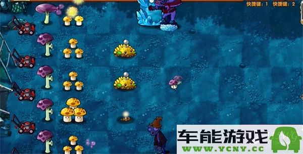 植物大战僵尸融合版第12关通关技巧与策略分析