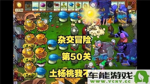 植物大战僵尸杂交版冒险模式挑战第50关攻略分享与通关技巧