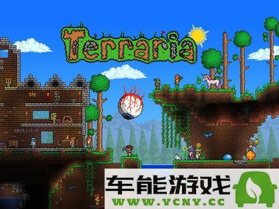 泰拉瑞亚游戏中文设置教程详解，轻松调整语言步骤！