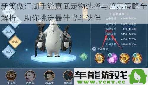 新笑傲江湖手游真武宠物选择攻略与培养技巧全面解析：助你打造最强战斗搭档