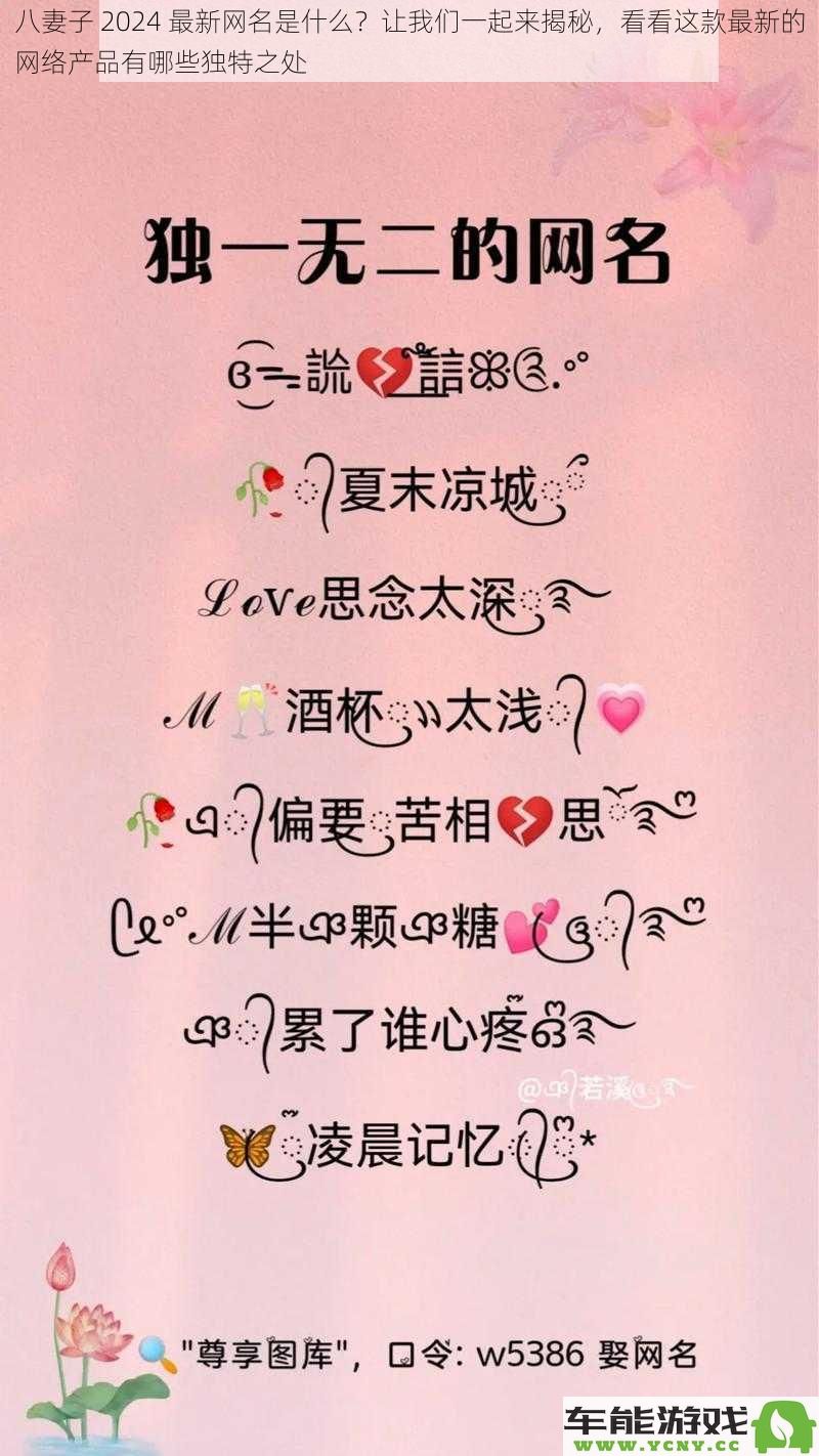 揭晓“八妻子2024”最新网名及其独特功能，带你了解这款网络新产品的亮点