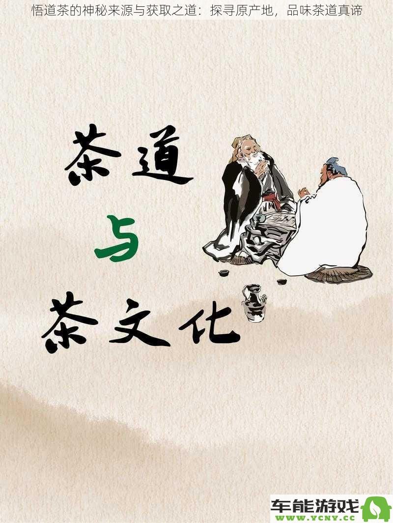 揭秘悟道茶的神秘起源与采集之道：探索其发源地，领悟茶道的真正精髓