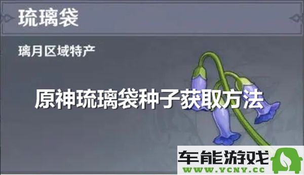 如何在《原神》中获取琉璃袋种子以及相关技巧和注意事项