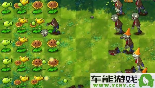 植物大战僵尸融合版第一关攻略详解，轻松过关的小技巧分享